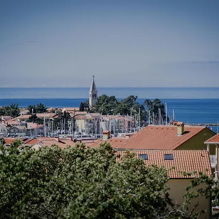 Haus In Novigrad Mit Privatem Pool Karpinjan
